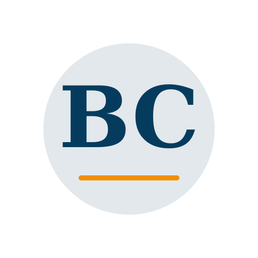 Burrows Chimney Cleaning logo